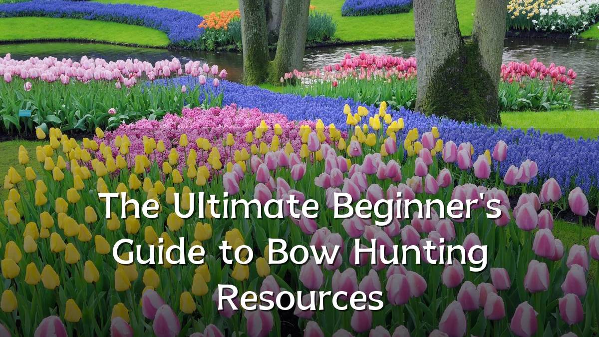 The Ultimate Beginner's Guide to Bow Hunting Resources