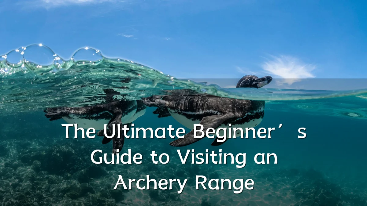 The Ultimate Beginner’s Guide to Visiting an Archery Range