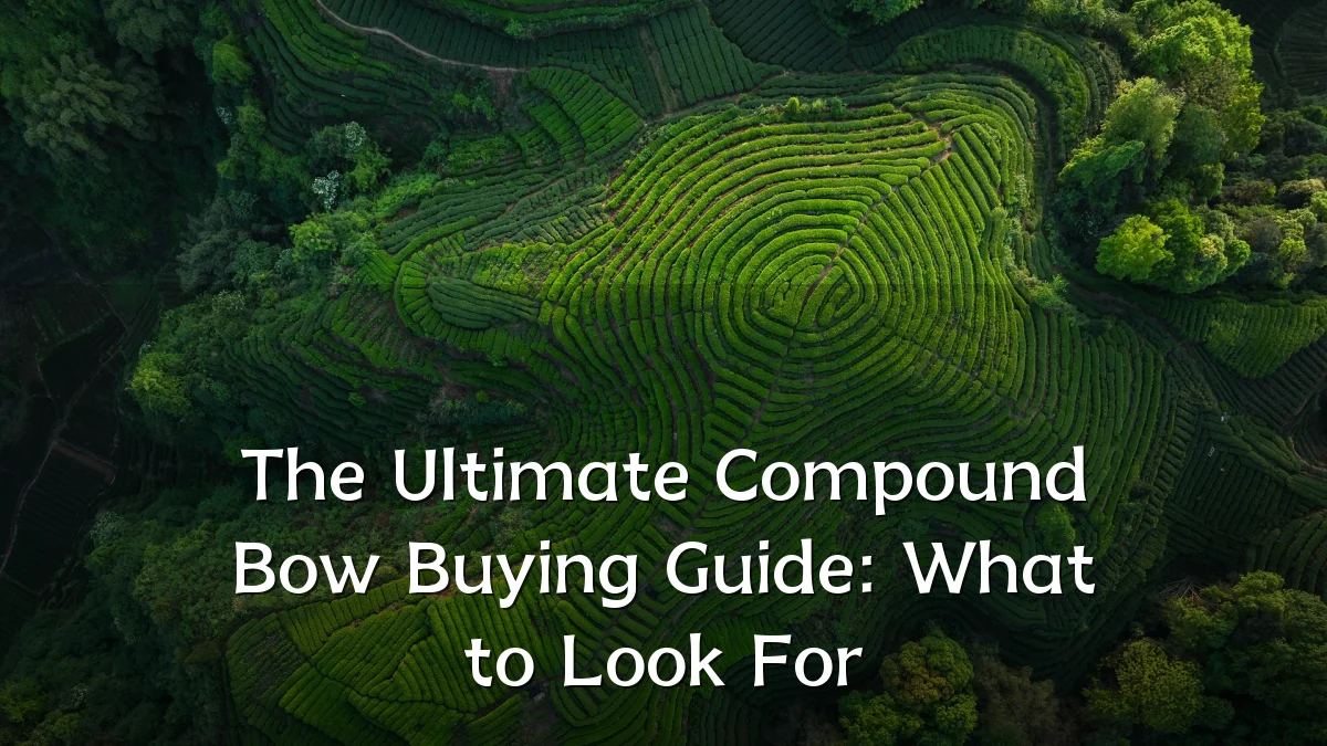 The Ultimate Compound Bow Buying Guide: What to Look For
