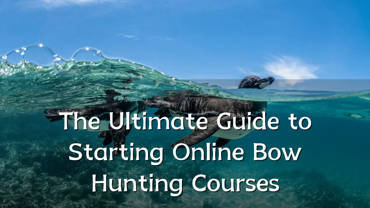 The Ultimate Guide to Starting Online Bow Hunting Courses