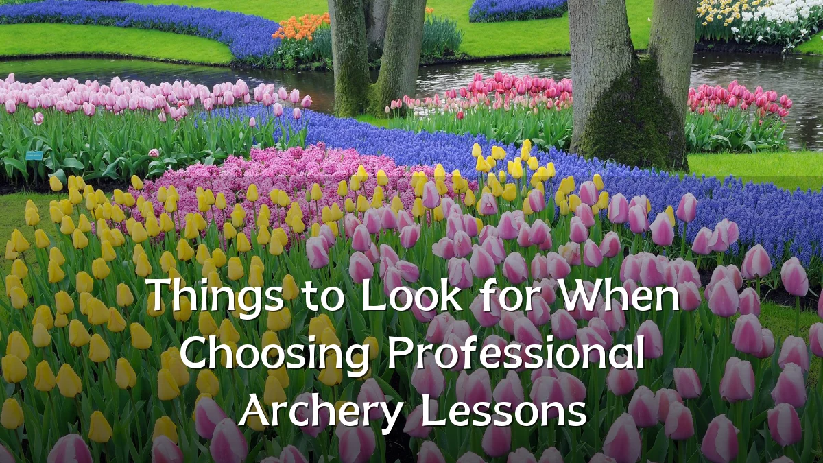 Things to Look for When Choosing Professional Archery Lessons