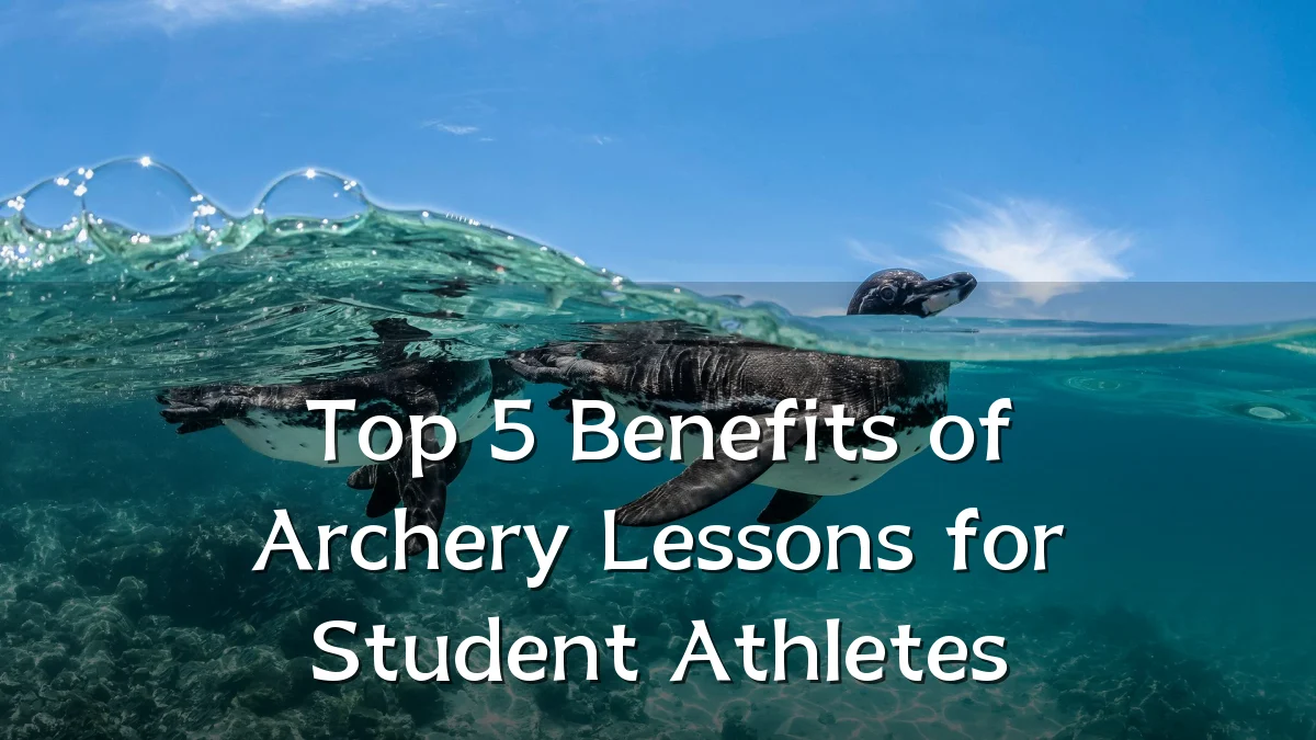 Top 5 Benefits of Archery Lessons for Student Athletes