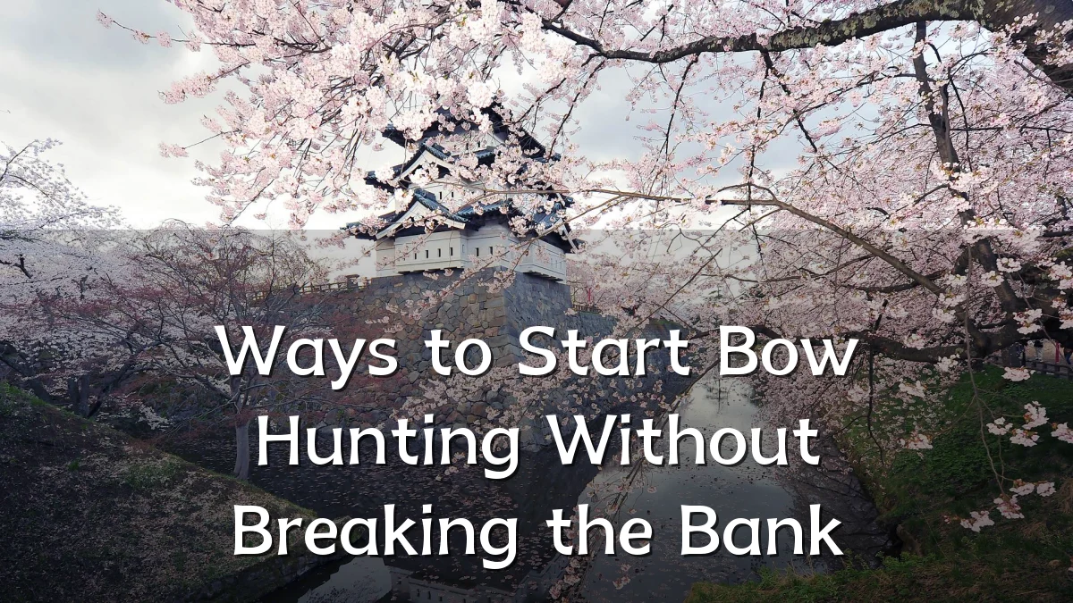 Ways to Start Bow Hunting Without Breaking the Bank