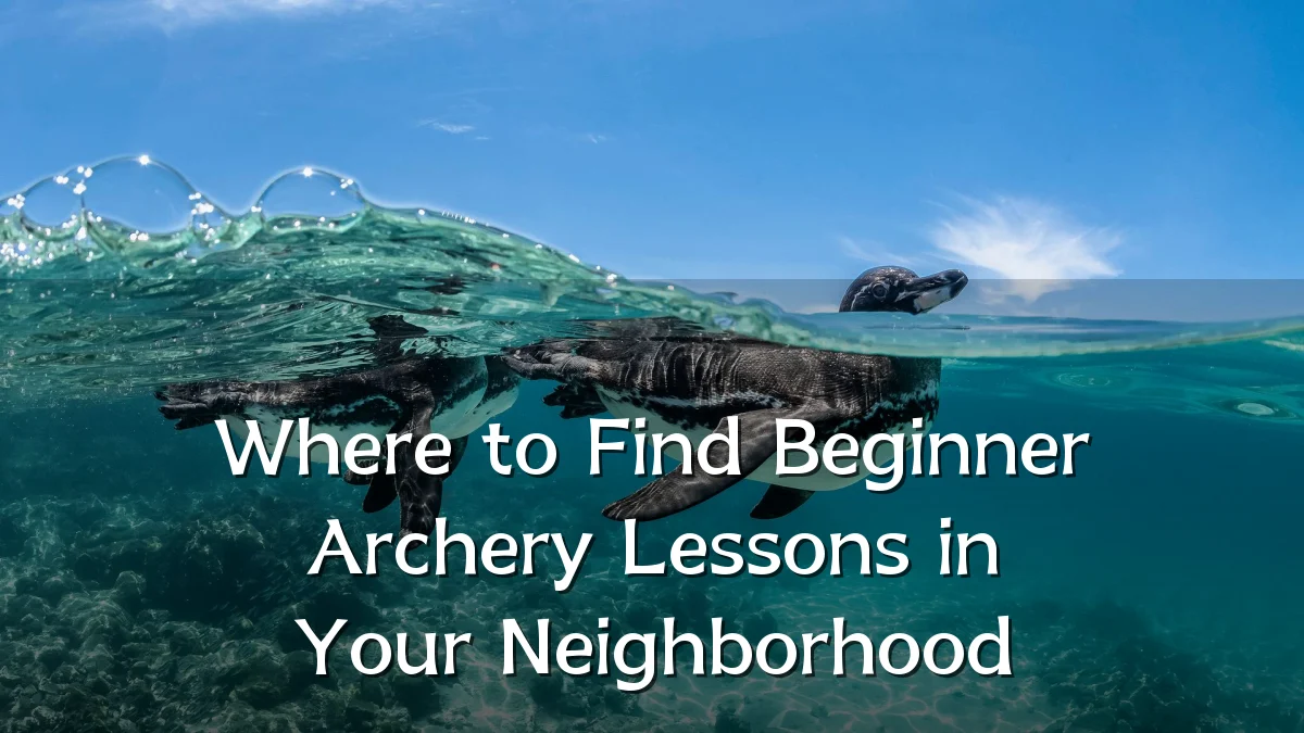 Where to Find Beginner Archery Lessons in Your Neighborhood
